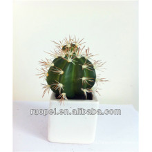 Potted Artificial Cactus Plant For Indoor Decoration